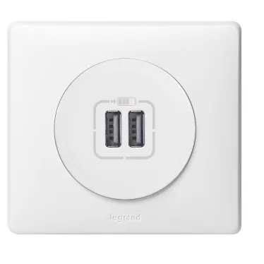Celiane Мех USB розетки 2 ной | 067462 | Legrand