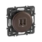 Celiane Мех USB розетки 2 ной | 067462 | Legrand