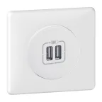 Celiane Мех USB розетки 2 ной | 067462 | Legrand