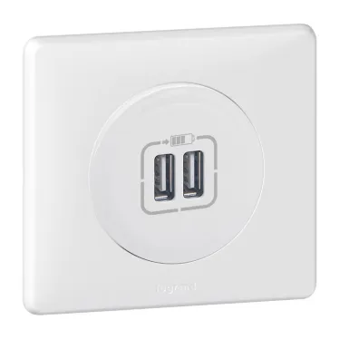 Celiane Мех USB розетки 2 ной | 067462 | Legrand
