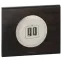 Celiane Мех USB розетки 2 ной | 067462 | Legrand
