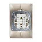 ABB Basic 55 Сл. кость Розетка 2-ая с/з моноблок, с защитными шторками | 2021-0-0379  | 2CKA002021A0379 | ABB