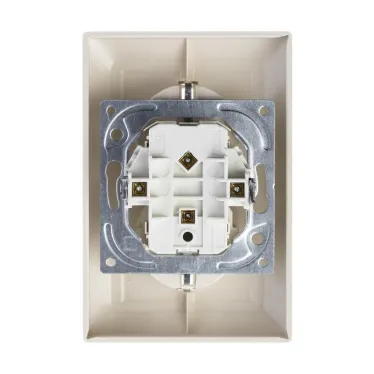 ABB Basic 55 Сл. кость Розетка 2-ая с/з моноблок, с защитными шторками | 2021-0-0379  | 2CKA002021A0379 | ABB