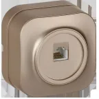                  GLORY Розетка для открытой установки компьютерная RJ45 кат.5E РК10-ХШм шампань матовый IEK
               