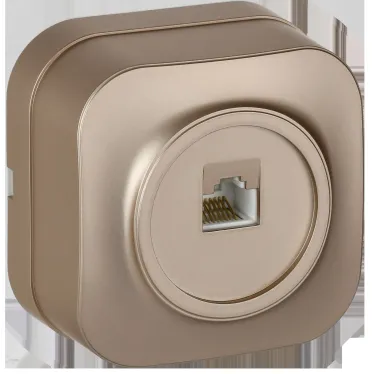 GLORY Розетка для открытой установки компьютерная RJ45 кат.5E РК10-ХШм шампань матовый IEK