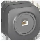                  GLORY Розетка для открытой установки компьютерная RJ45 кат.5E РК10-ХСм сталь матовый IEK
               