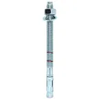 Анкер клиновой ZJE ZN 16x170 (10 шт) - пакет | 147557 | Tecfi