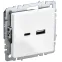 BRITE Розетка USB A+C 18Вт РЮ11-1-БрБ белый
