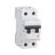 Выключатель автоматический двухполюсный TX3 6000 63А C 6кА | 404048 | Legrand
