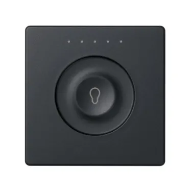 Сенсорный 1-кл выключатель с тематической маркировкой Т1, регулирования, графит | 8000613-038 | Simon