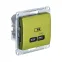GLOSSA USB РОЗЕТКА тип-C 65W высокоскор.заряд. QC, PD, механизм, ФИСТАШКОВЫЙ