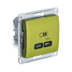                  GLOSSA USB РОЗЕТКА тип-C 65W высокоскор.заряд. QC, PD, механизм, ФИСТАШКОВЫЙ
               