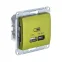 GLOSSA USB РОЗЕТКА A + тип-C 45W высокоскор.заряд. QC, PD, механизм, ФИСТАШКОВЫЙ