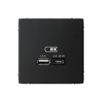                  ARTGALLERY USB розетка A + тип-C 45Вт высокоскор.заряд. QC, PD, механизм, карбон
               