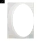 Светильник светодиодный для ЖКХ ДБО88-25-121 CDR RD 930