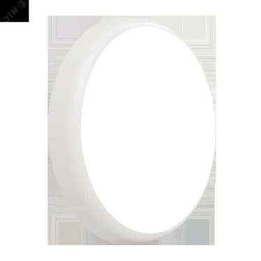 Светильник светодиодный для ЖКХ ДБО88-25-121 CDR RD 930
