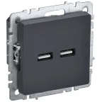                  BRITE Розетка USB A+A 3.1А РЮ10-1-БрГ графит
               