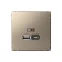 ARTGALLERY USB розетка A + тип-C 45Вт высокоскор.заряд. QC, PD, механизм, шампань