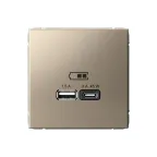                  ARTGALLERY USB розетка A + тип-C 45Вт высокоскор.заряд. QC, PD, механизм, шампань
               