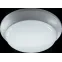Светильник светодиодный ДПБ-01-ПП-18-WH-4К-IP65-А3