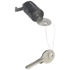                  Замок Ronis для блокировки - DPX-IS 630 | 026697 | Legrand
               