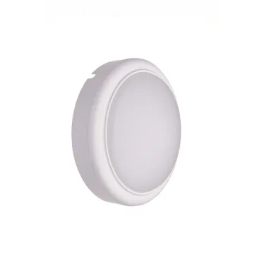 Светильник светодиодный промышленный WL008C LED10/NW round | 911401535141 | Philips