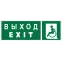 Знак безопасности NPU-3413.E64''Указ. выхода для инвал. в креслах колясках(лев.)''