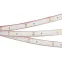 Светодиодная лента герметичная RTW-PFS-A60-11mm 12V White6000 (4.8 W/m, IP68, 2835, 5m) (Arlight, -) | 034006 | Arlight