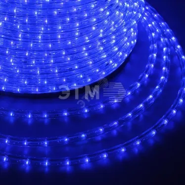 Дюралайт LED, постоянное свечение 2W - синий Эконом 24 LED/м, 100 м