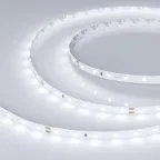 Лента RT-A60-8мм 24V Day5000 CRI98 (4.8 W/m, IP20, 2835, 5м) (4.8 Вт/м, IP20)