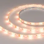 Лента RTW-SE-B60-10мм 24V RGBW-Warm (14.4 W/m, IP65, 5060, 5м) (Открытый)