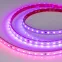 Лента герметичная SPI-PS-B60-12mm 24V RGB-PX6-BPT (12 W/m, IP67, 5060, 5m) (Arlight, бегущий огонь)