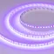 Лента RT-A120-8mm 24V Violet (9.6 W/m, IP20, 2835, 5m) (Arlight, -)