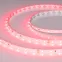 Лента светодиодная RT-A60-8mm 24V Ruby (4.8 W/m, IP20, 5m) (ARL, 60 LED/m)