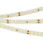 Лента светодиодная RT 2-5000-50m 24V Day4000 2x (2835, 160 LED/m, LUX) | 024552(1) | Arlight