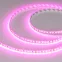 Лента RT-A120-8мм 24V Magenta (9.6 W/m, IP20, 2835, 5м) (-)