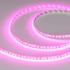 Лента RT-A120-8мм 24V Magenta (9.6 W/m, IP20, 2835, 5м) (-)