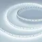 Лента IC-A120-12mm 24V Cool 8K (9.6 W/m, IP20, 2835, 20m) (Arlight, 9.6 Вт/м, IP20)