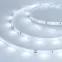 Лента LED RT 2-5000 24V Cool 8K 0.5x (3528, 150 LED, LUX) (ARL, 2.9 Вт/м, IP20)