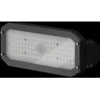                  Светильник светодиодный ДСП-112-00-С-100-4К-D40X125
               