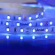 Лента светодиодная синий свет ULS-M11-2835-60LED/m-8mm-IP20-DC12V-4,8W/m-5M-BLUE PROFI | UL-00004359 | Uniel