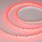 Лента RT-G240-12mm 24V RGB (18 W/m, IP20, 3838, 5m) (, Открытый)