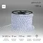 Дюралайт LED, эффект мерцания 2W - белый, 36 LED/м, 100 м