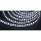 Лента светодиодная NLS-2835CW240-30-IP20-12V