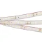 Лента светодиодная RTW 2-5000PGS 24V White 2x (3528, 600 LED, LUX) | 013520 | Arlight