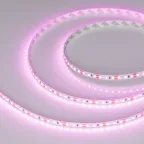 Лента RT-A120-8мм 12V Pink (9.6 W/m, IP20, 2835, 5м) (Открытый)