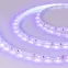 Лента RT-A60-8мм 12V UV400 (4.8 W/m, IP20, 2835, 5м) (Открытый)