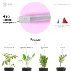 Фитолампа для растений светодиодная FITO-18W-RB-Т8-G13-NL и мясных прилавков 18 Вт Т8 G13 красно-синего спектра