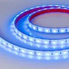 Лента герметичная RTW-PFS-B60-13mm 24V Blue (14.4 W/m, IP68, 5060, 5m) (, 14.4 Вт/м, IP68)