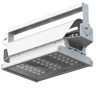 Светильник светодиодный ДО-80Вт Эверикс LED-80-К20.4-IP66-У1(1/LIRA/840/RAL7035/TG/AC230/D/Х/G1)